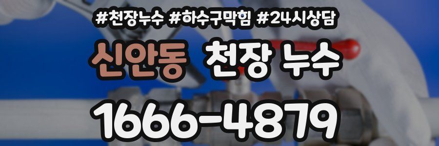 신안동 천장 누수