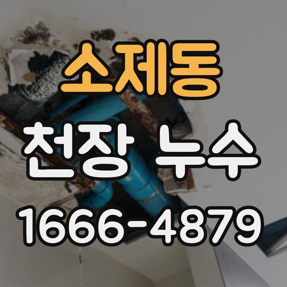 소제동 천장 누수 보일러 사용 후 천장에 습기가 느껴진다면