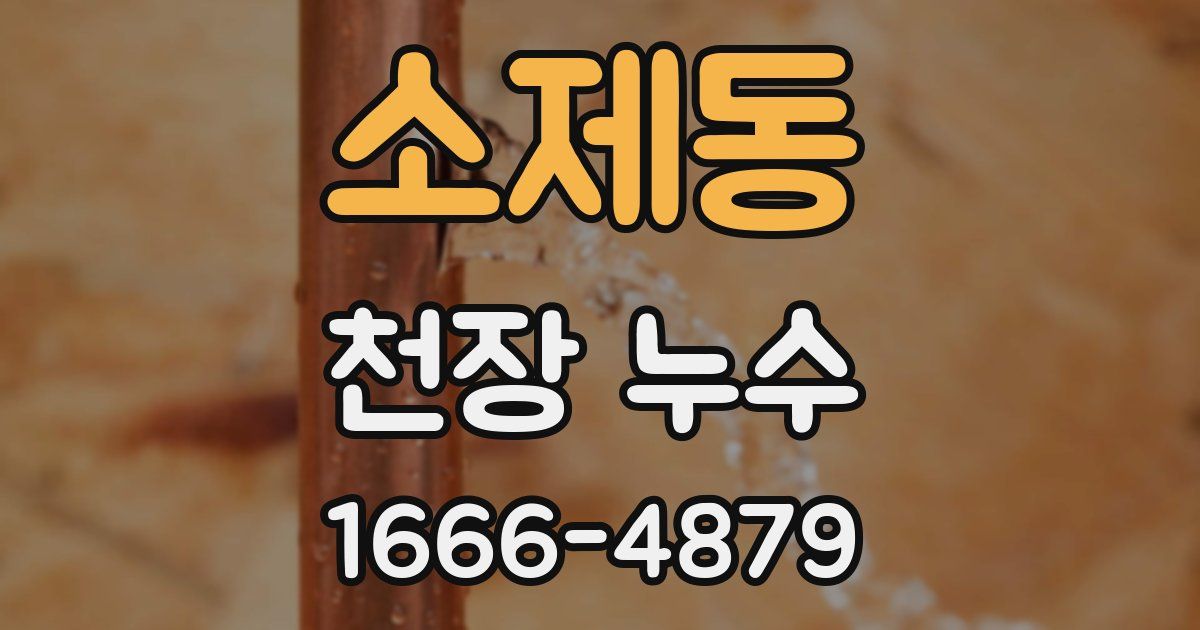 소제동 천장 누수