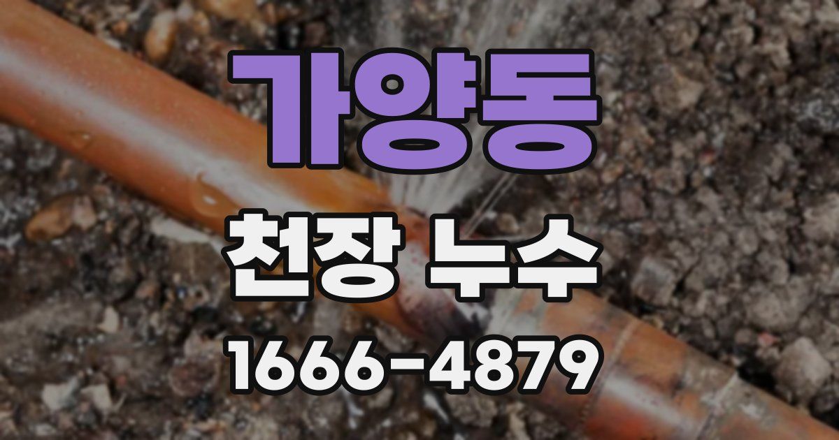 가양동 천장 누수