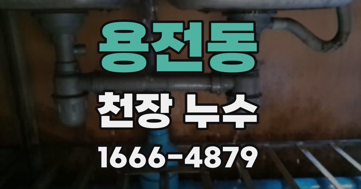 용전동 천장 누수