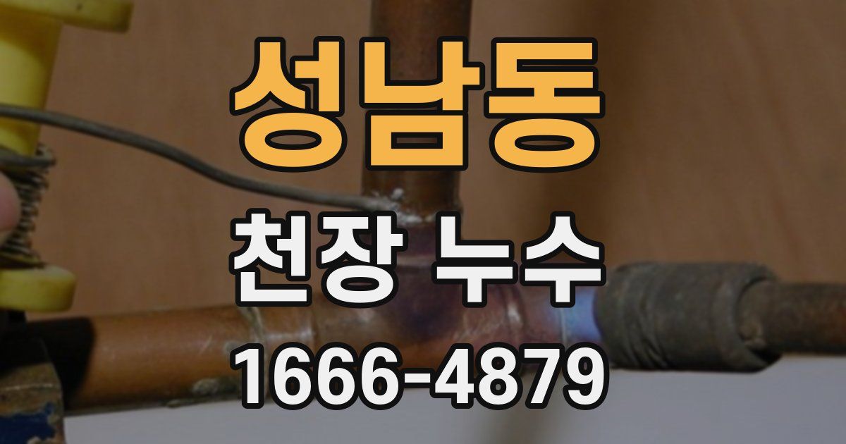 성남동 천장 누수