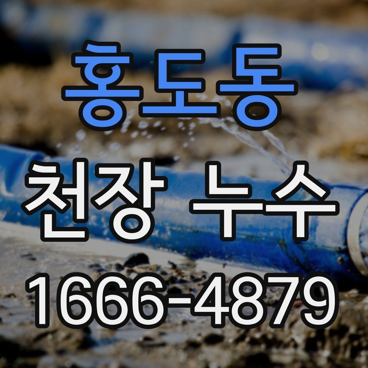 홍도동 천장 누수 흔적을 닦아도 냄새가 남는 이유