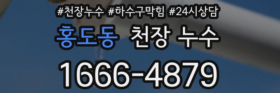 홍도동 천장 누수