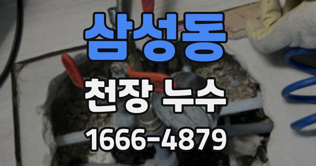 삼성동 천장 누수