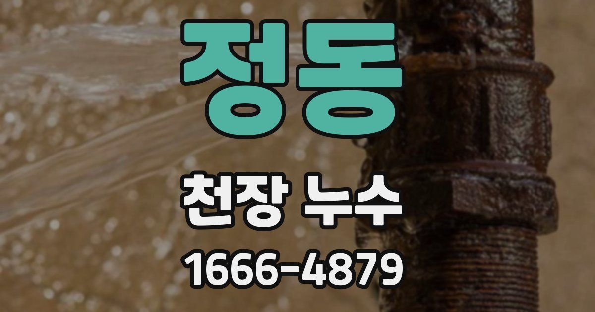 정동 천장 누수