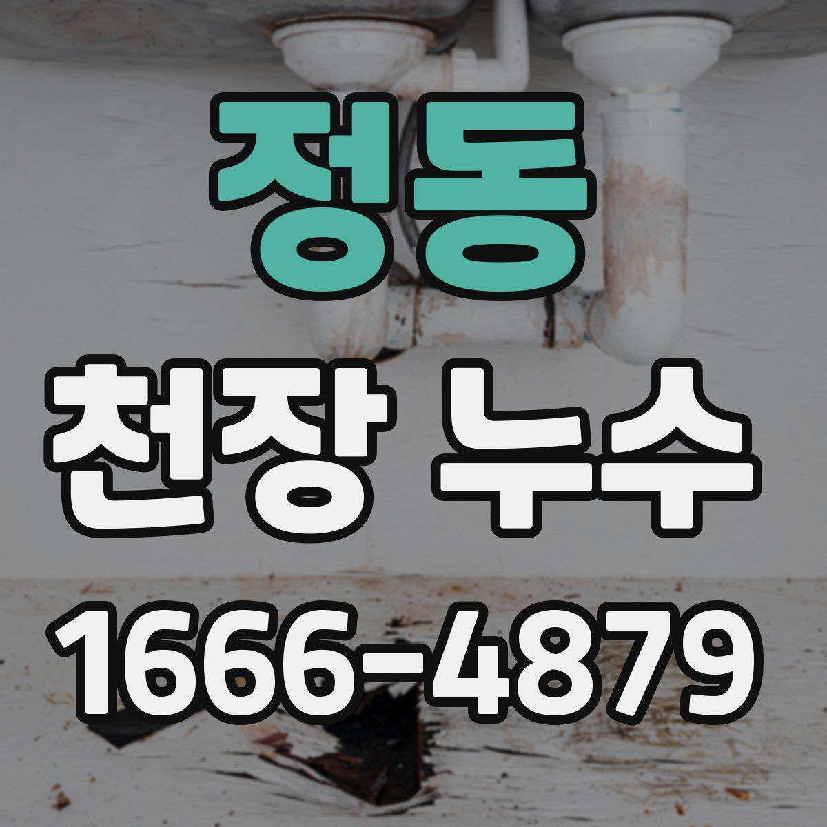 정동 천장 누수