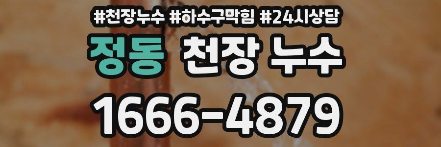 정동 천장 누수