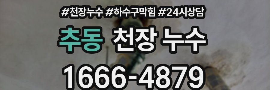 추동 천장 누수