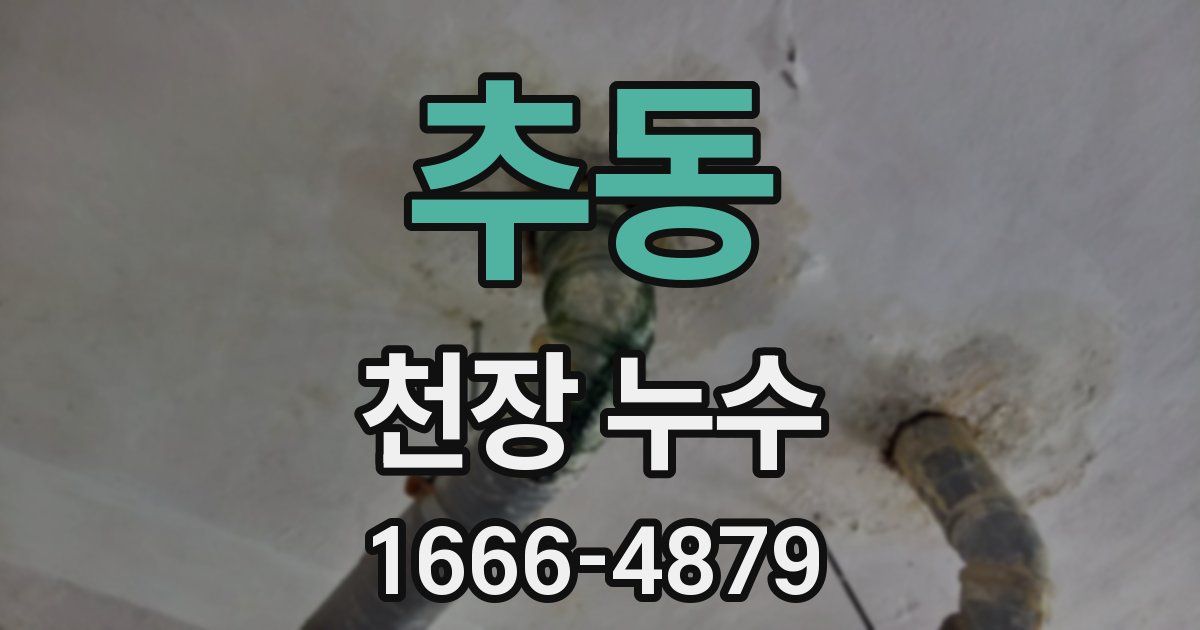 추동 천장 누수