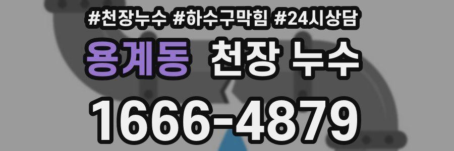 용계동 천장 누수