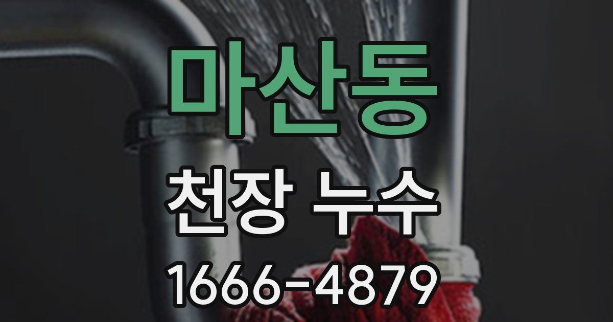 마산동 천장 누수