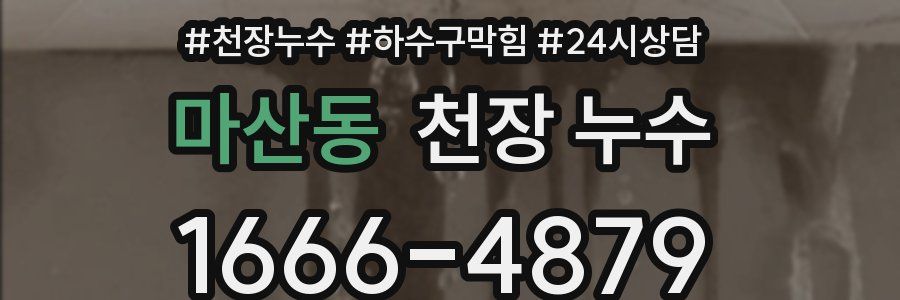 마산동 천장 누수