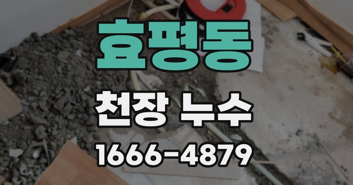 효평동 천장 누수