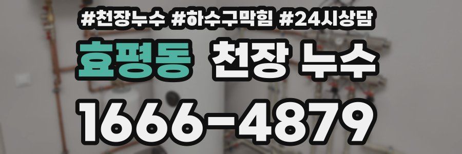 효평동 천장 누수