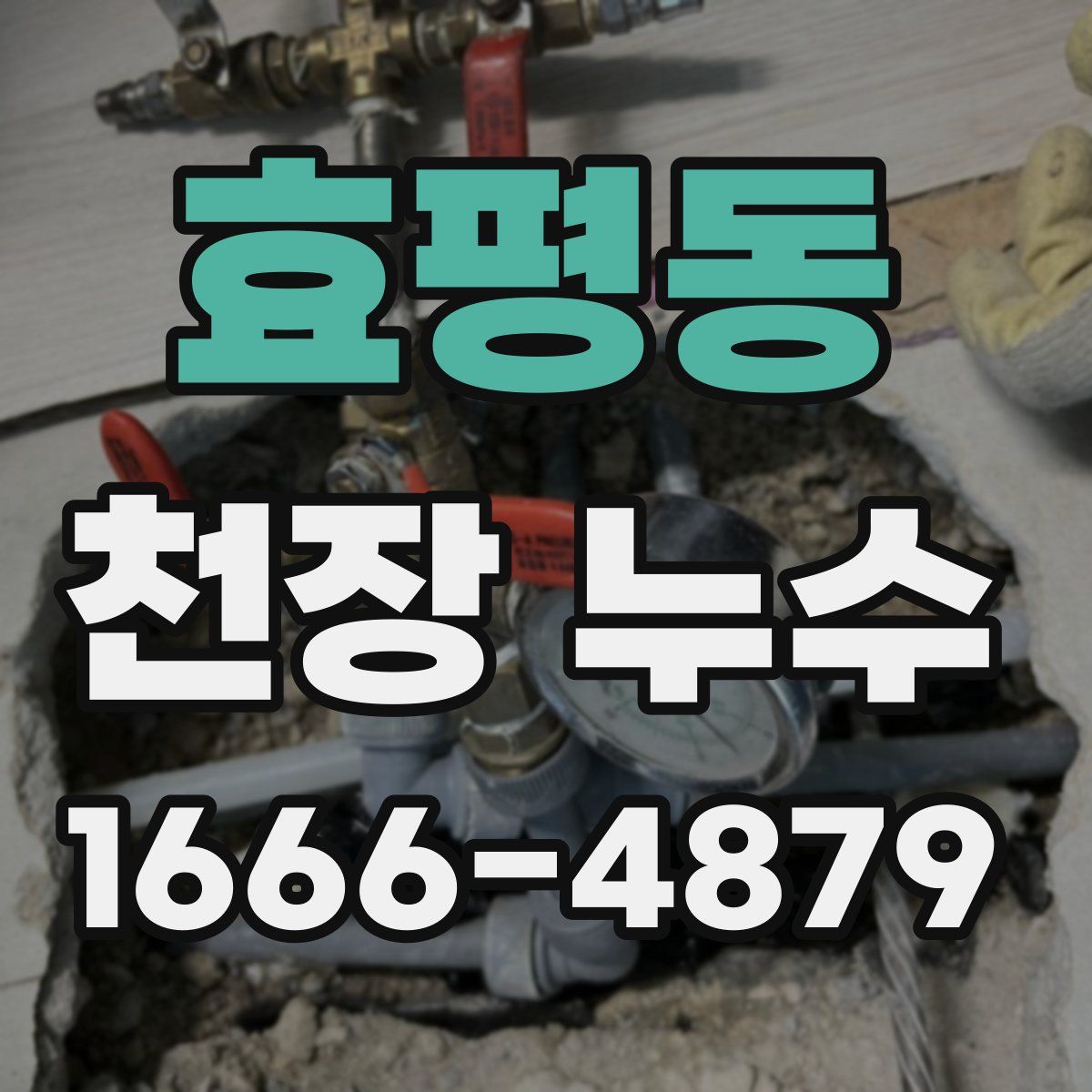 효평동 천장 누수