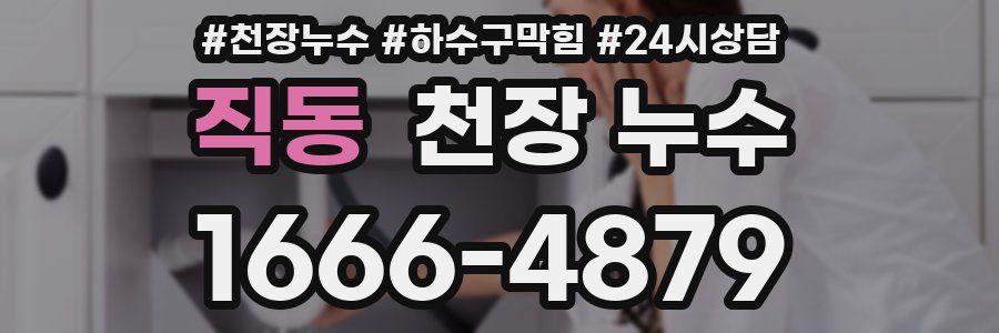 직동 천장 누수