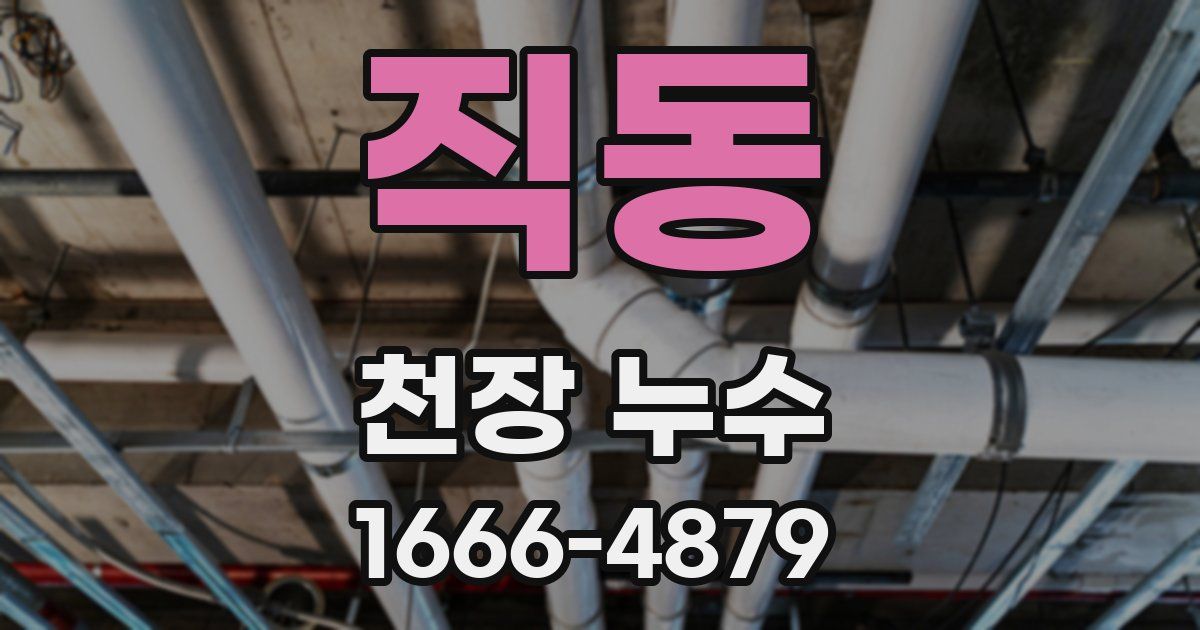 직동 천장 누수