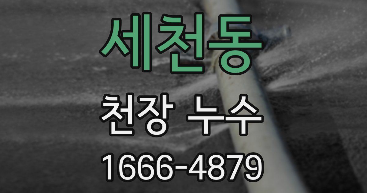 세천동 천장 누수