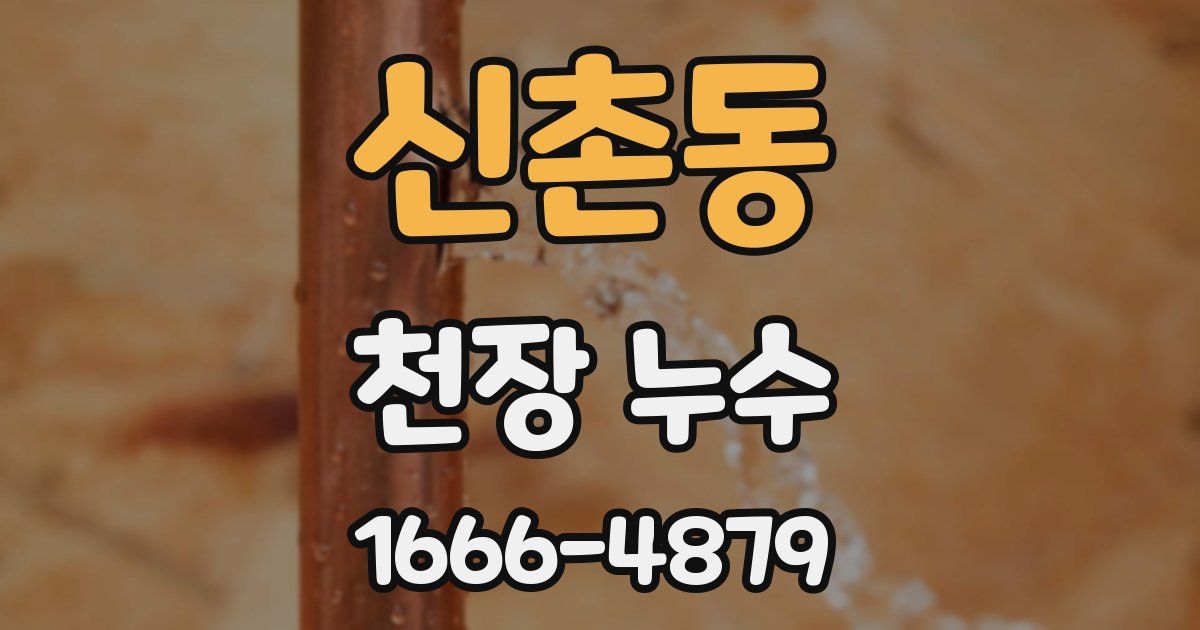 신촌동 천장 누수