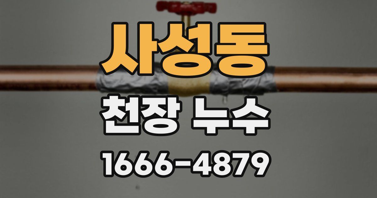 사성동 천장 누수