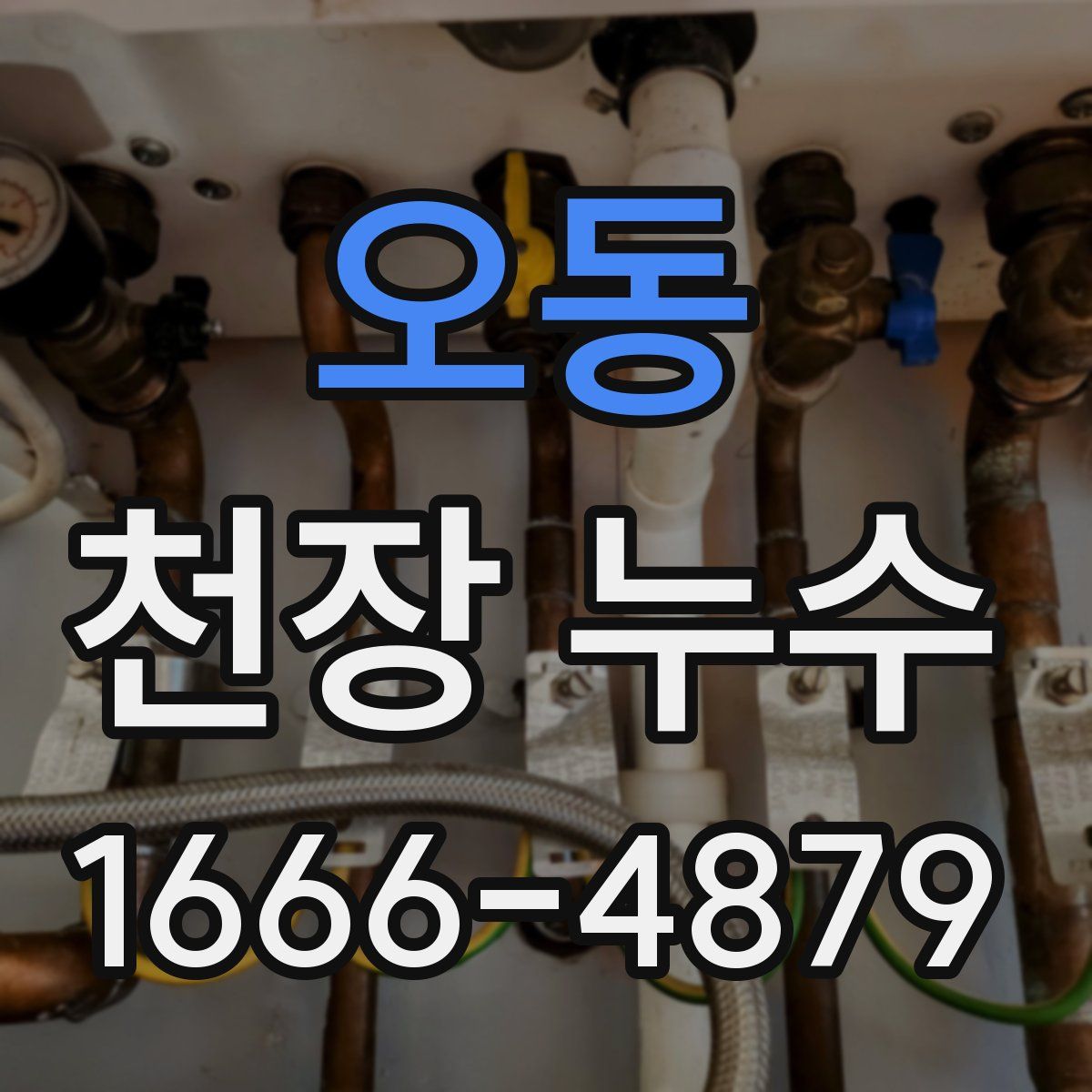 오동 천장 누수