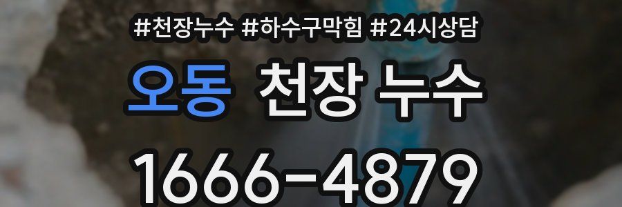 오동 천장 누수