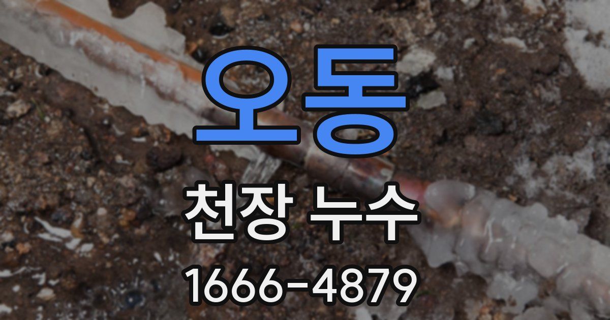 오동 천장 누수