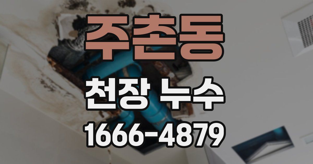 주촌동 천장 누수