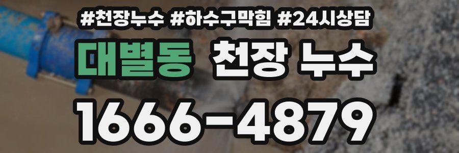 대별동 천장 누수