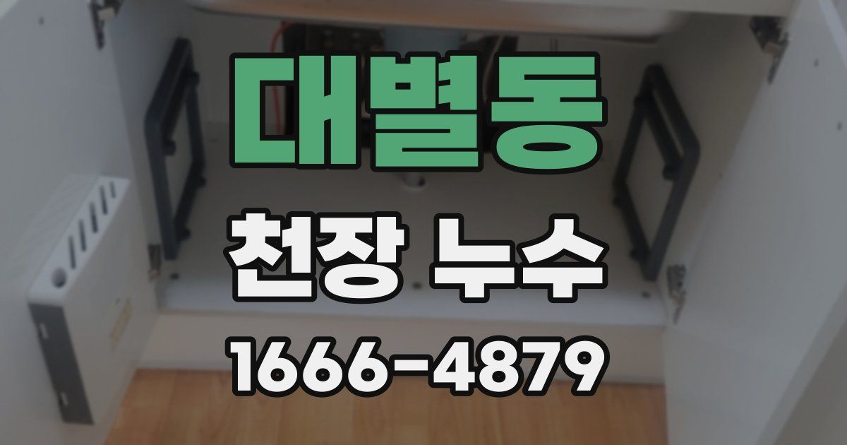 대별동 천장 누수