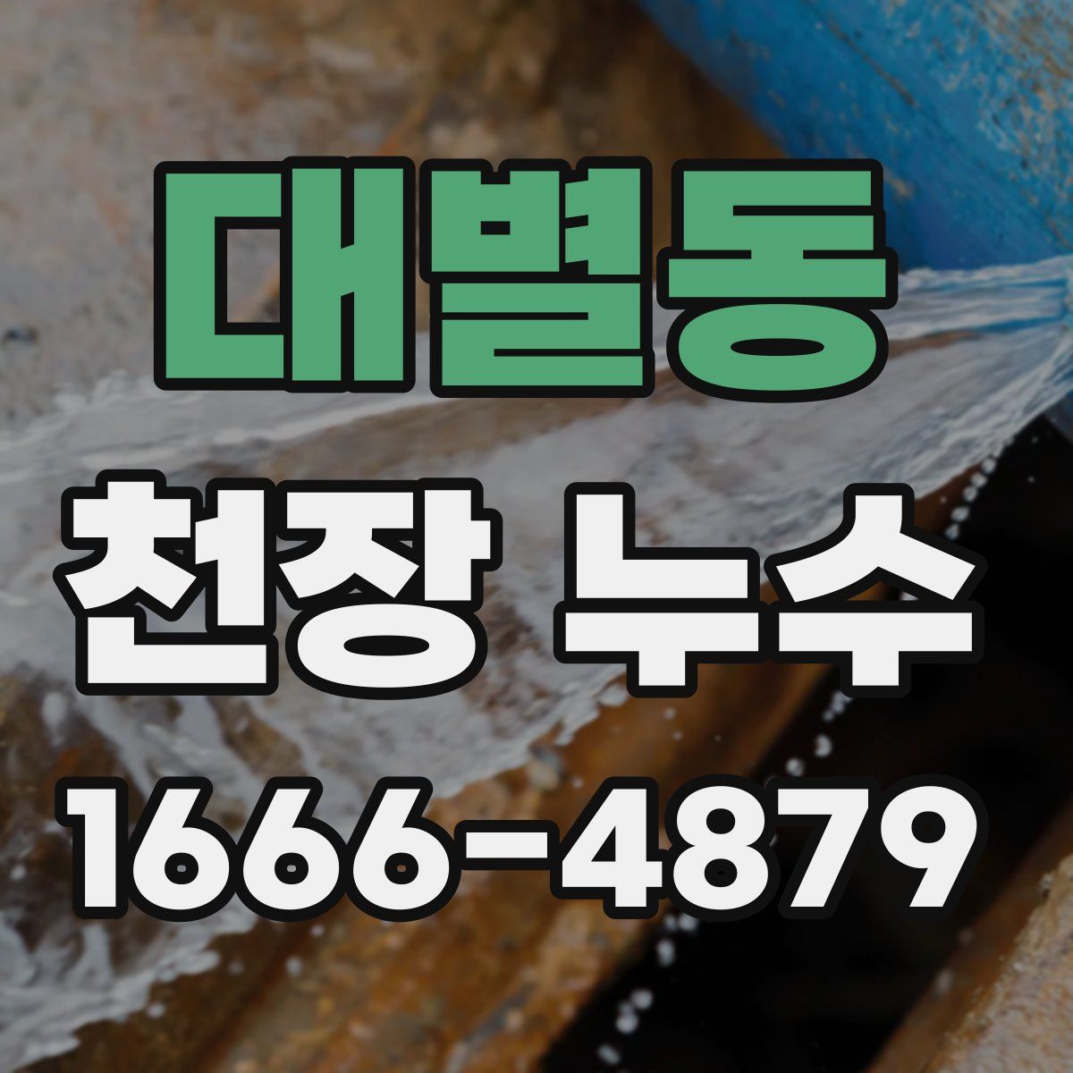 대별동 천장 누수