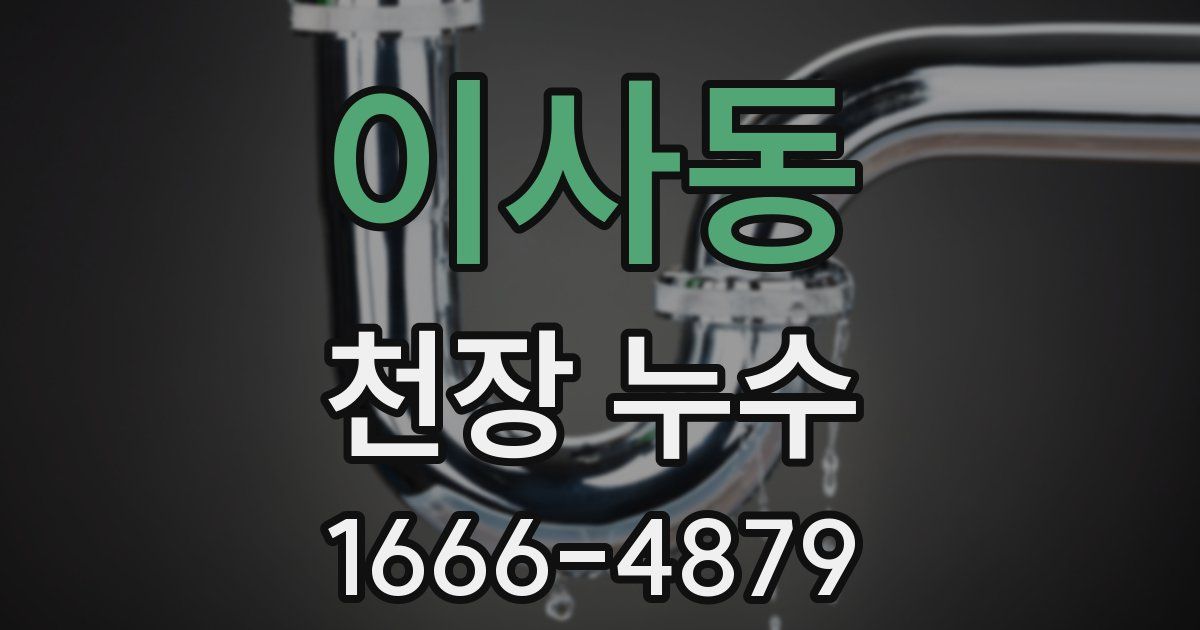 이사동 천장 누수