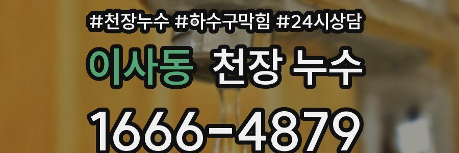 이사동 천장 누수