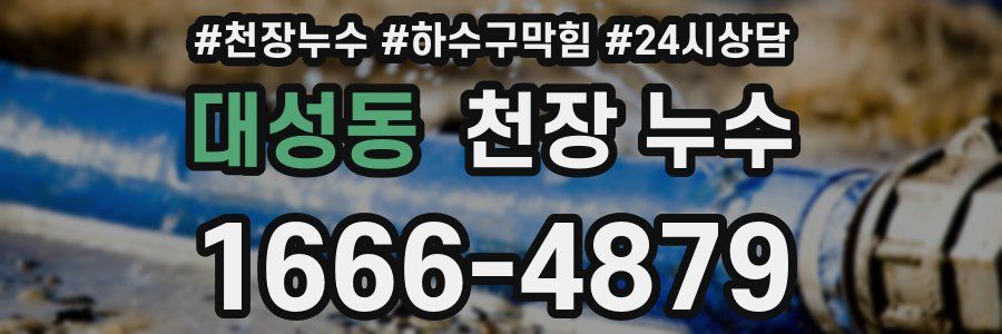 대성동 천장 누수