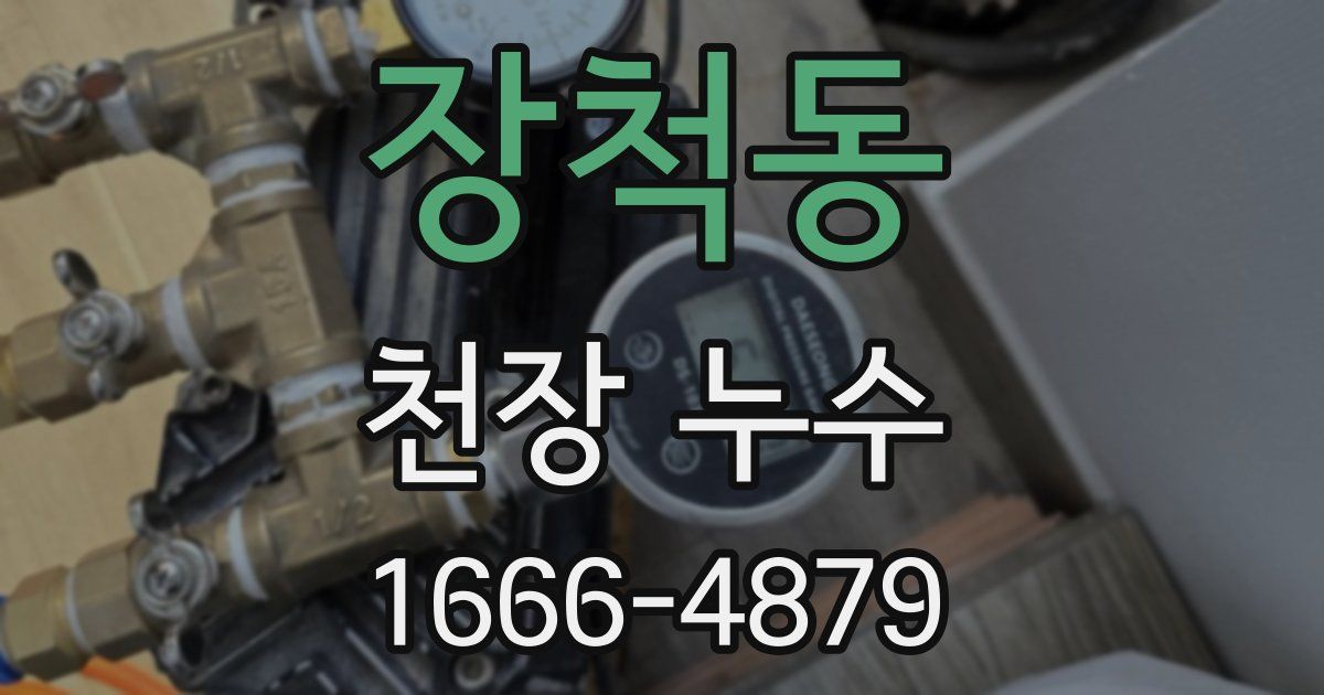 장척동 천장 누수