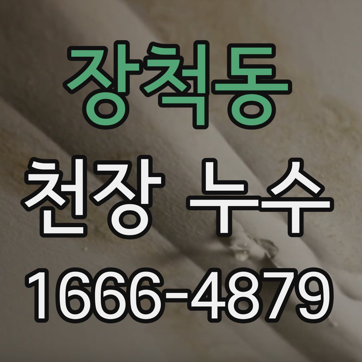 장척동 천장 누수