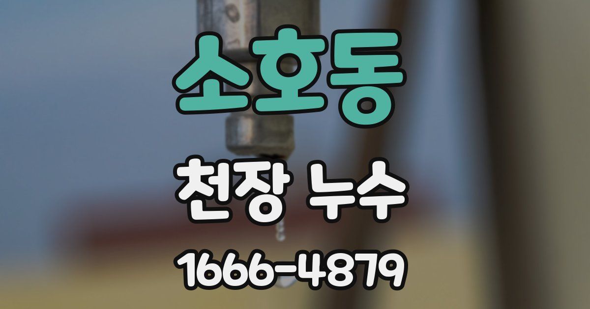 소호동 천장 누수