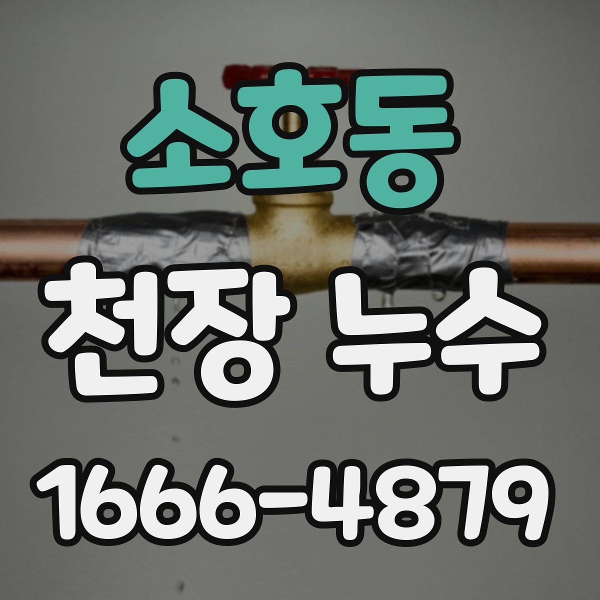 소호동 천장 누수