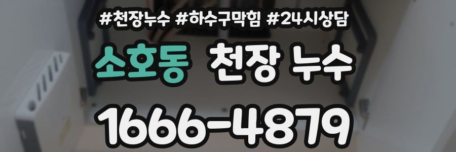 소호동 천장 누수