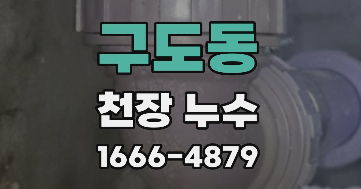 구도동 천장 누수