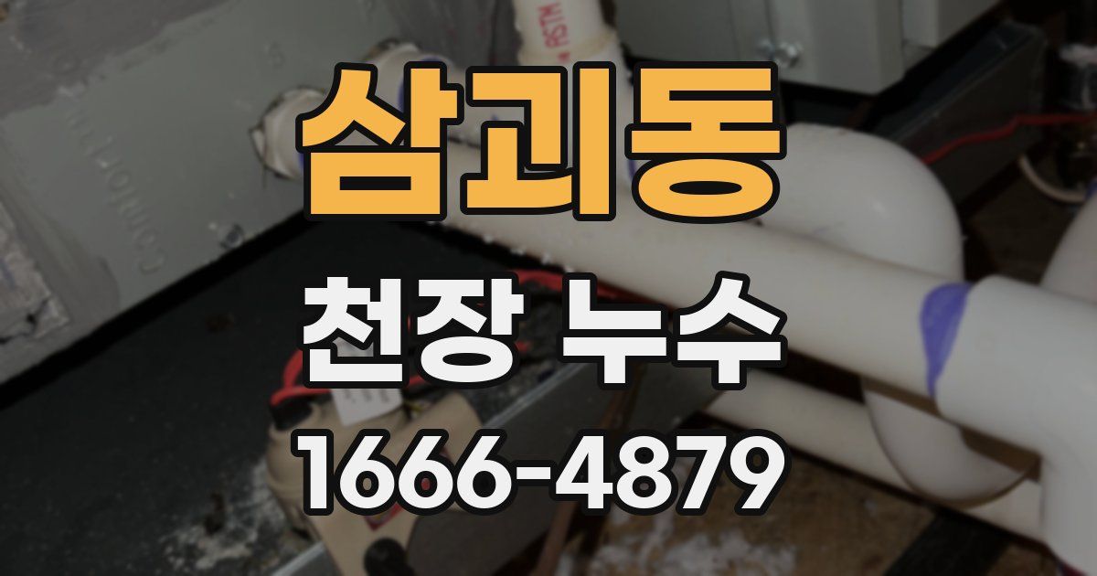 삼괴동 천장 누수