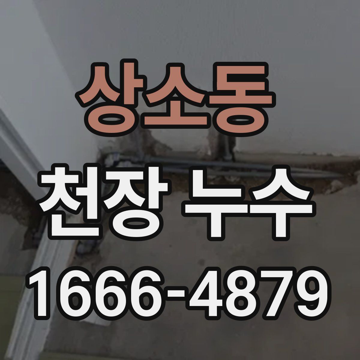 상소동 천장 누수