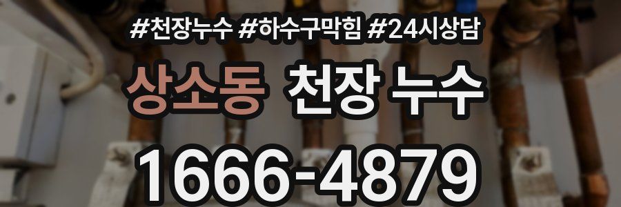 상소동 천장 누수