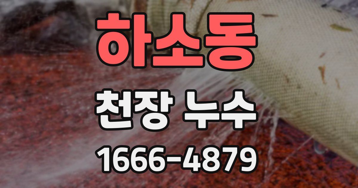 하소동 천장 누수