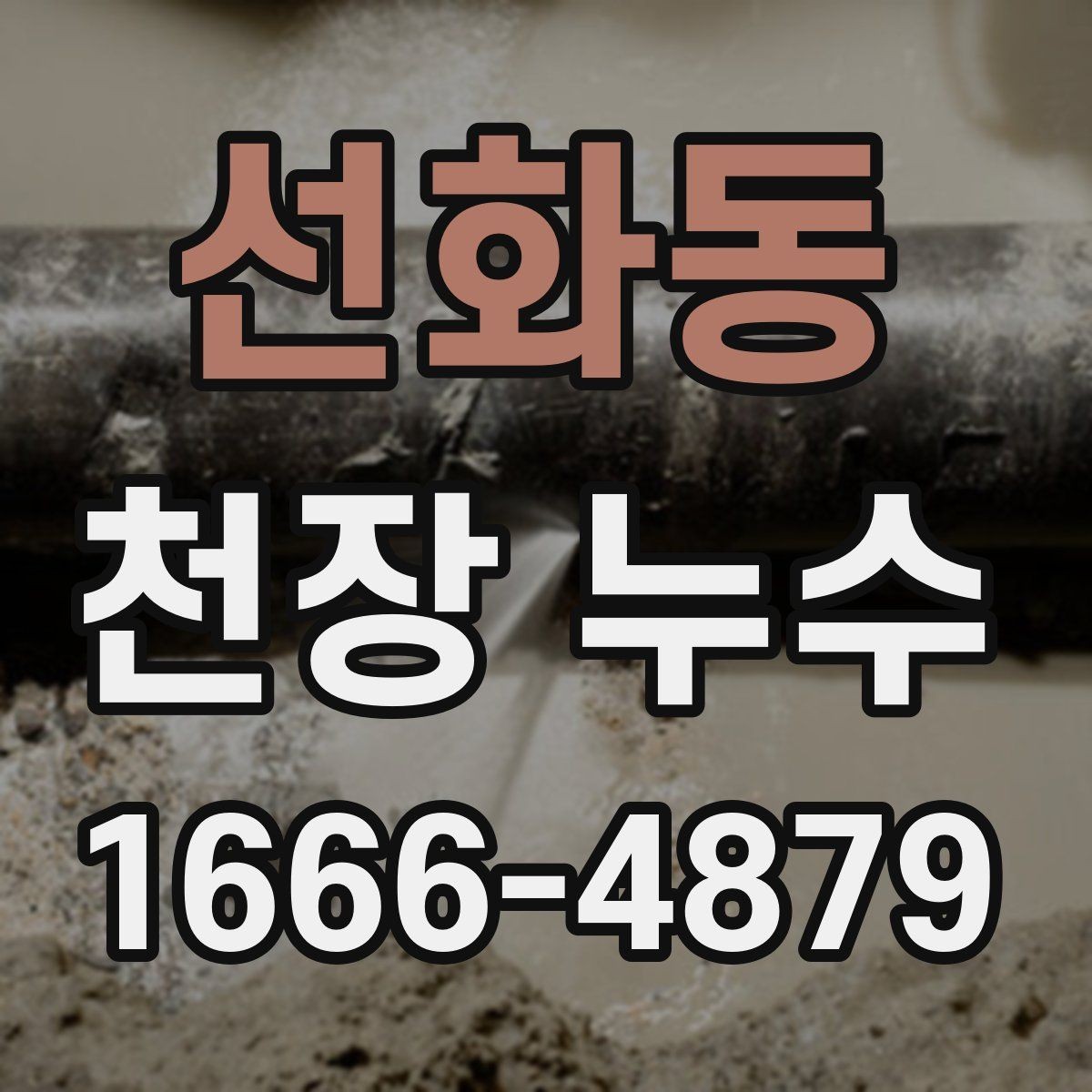 선화동 천장 누수 천장 누수와 함께 전등이 깜빡이면 바로 점검