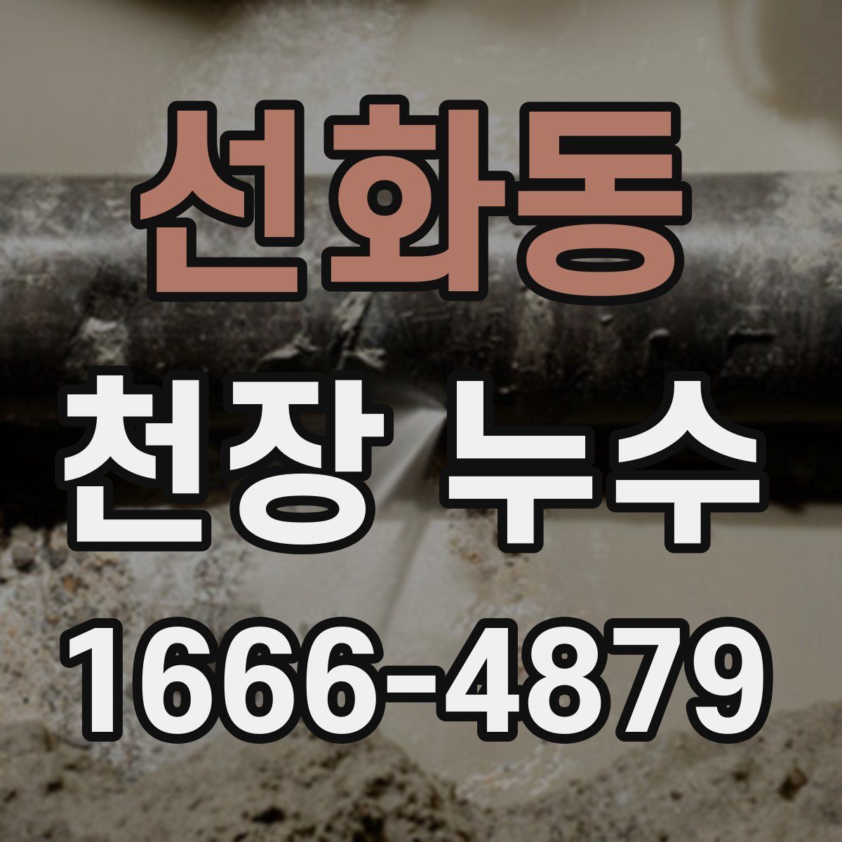 선화동 천장 누수