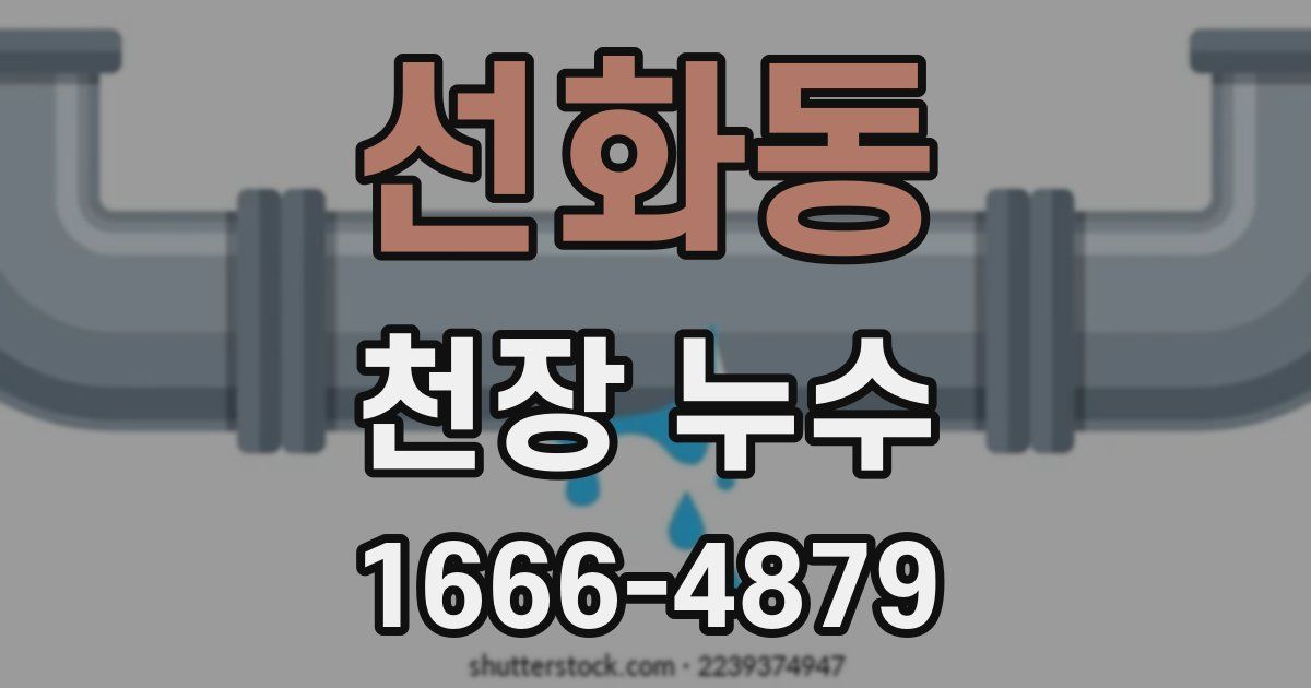 선화동 천장 누수