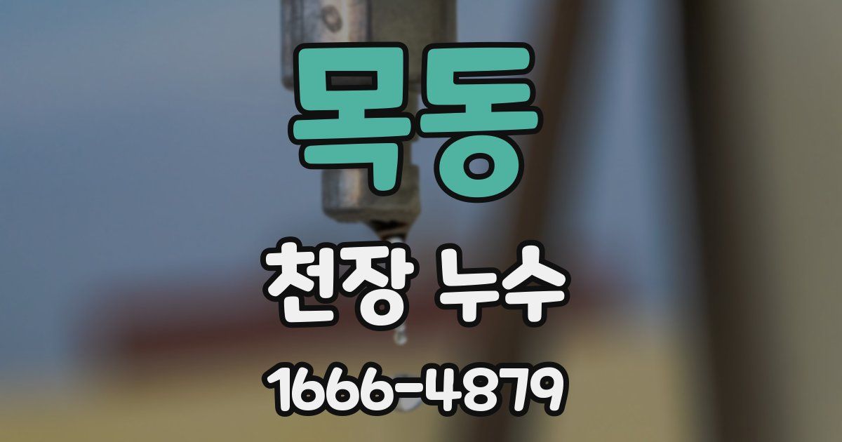 목동 천장 누수