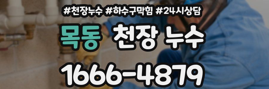 목동 천장 누수